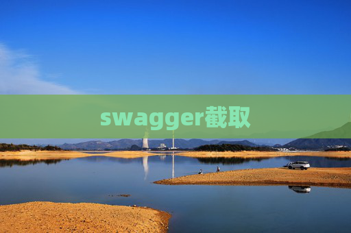 swagger截取